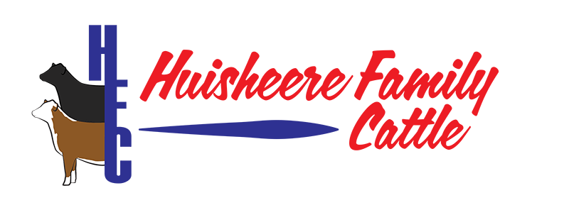 Huisheere Family Cattle